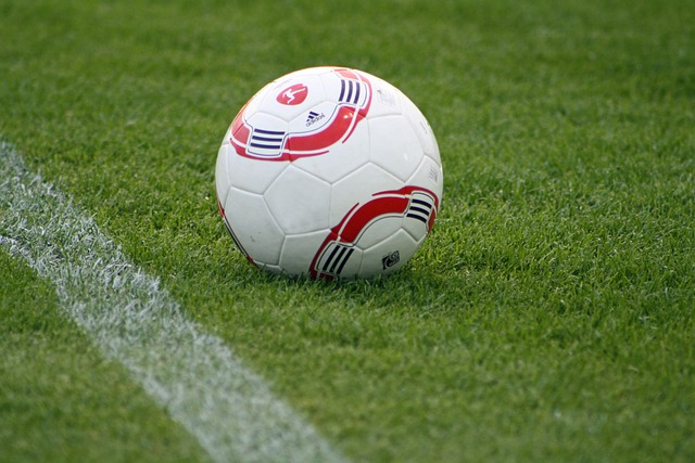 者的巨大兴 者的巨大兴