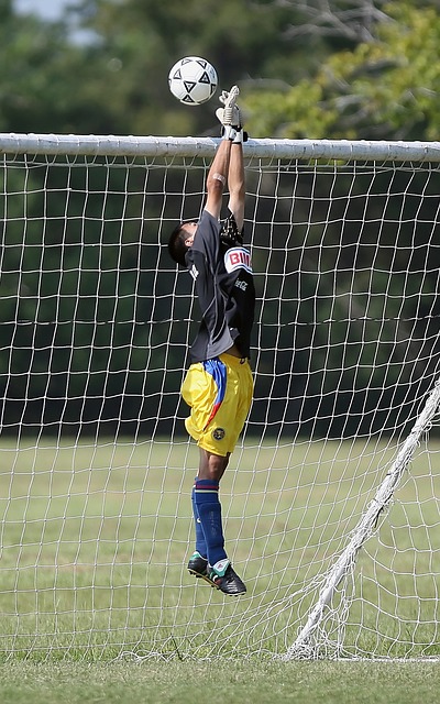 本赛季与上 本赛季与上