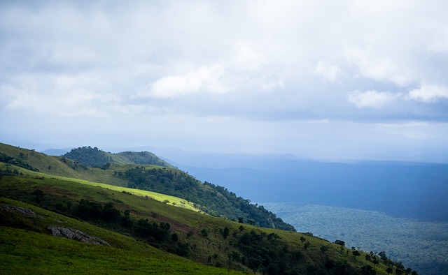 联的合约问 联的合约问