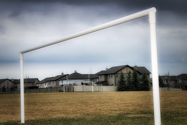 制场上局势 制场上局势